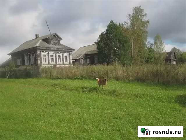 Участок ИЖС 30 сот. на продажу в Борисоглебском Борисоглебский - изображение 1