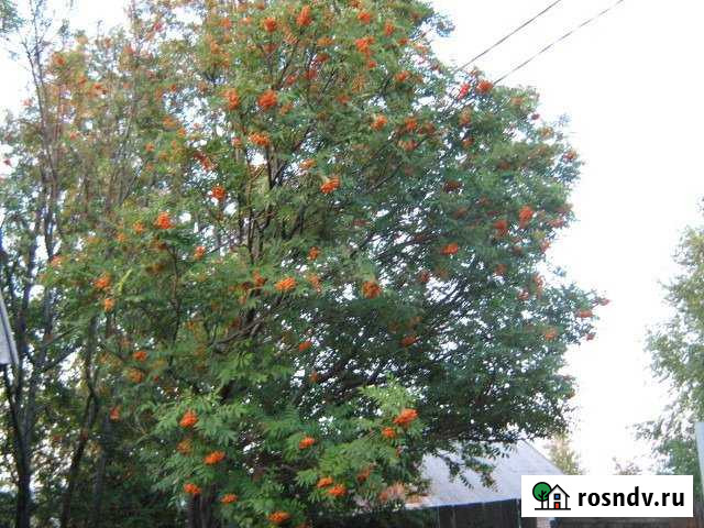 Дача 20 м² на участке 6 сот. на продажу в Абакане Абакан - изображение 1