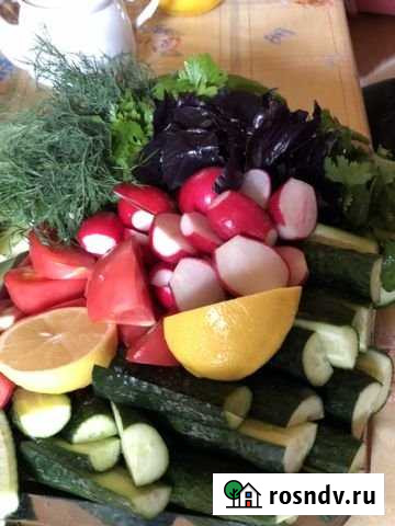 Дом 40 м² на участке 50 сот. в аренду посуточно в Каменномостском Каменномостский - изображение 1