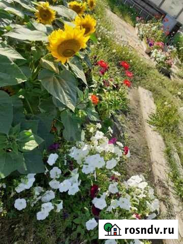 Участок ИЖС 8 сот. на продажу в Якутске Якутск - изображение 1