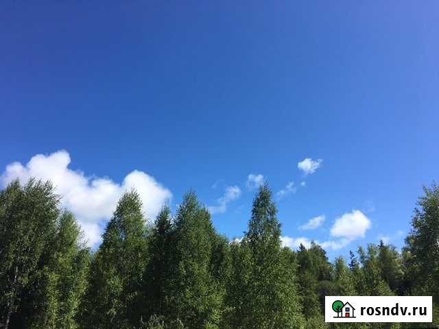 Участок СНТ, ДНП 8 сот. на продажу в Дубне Московской области Дубна - изображение 1