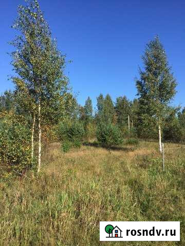 Участок СНТ, ДНП 6 сот. на продажу в Рахье Рахья - изображение 1