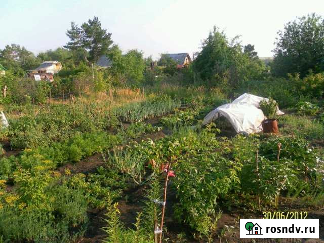 Участок СНТ, ДНП 4 сот. на продажу в Троицке Челябинской области Троицк - изображение 1