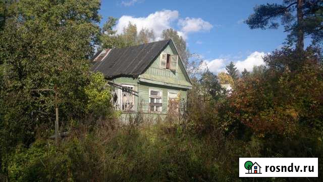 Участок СНТ, ДНП 14 сот. на продажу в Мге Мга - изображение 1