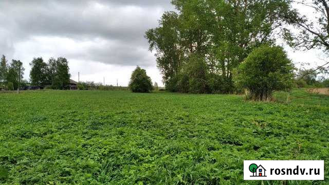 Участок ИЖС 50 сот. на продажу в Уве Ува - изображение 1