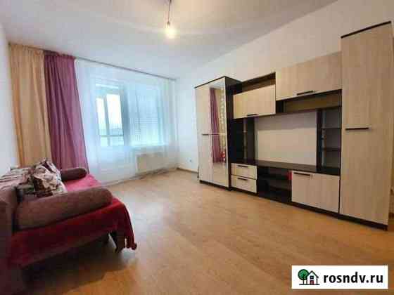 Квартира-студия, 24 м², 11/17 эт. на продажу в Мурино Мурино