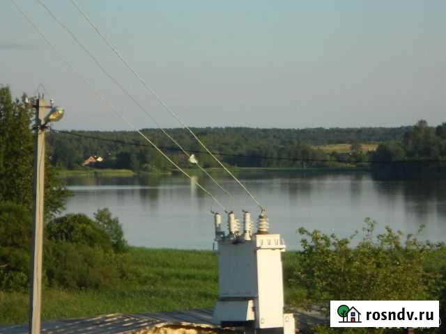 Участок СНТ, ДНП 200 сот. на продажу на Лугах Луга - изображение 1