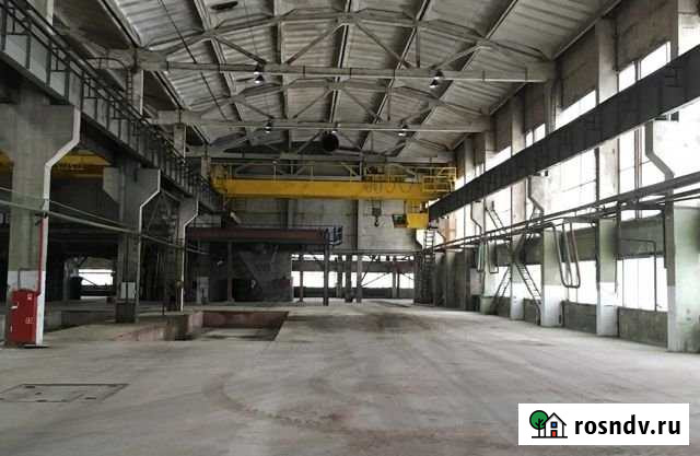 Сдам производственное помещение 2000 - 10000 кв. м Санкт-Петербург - изображение 1