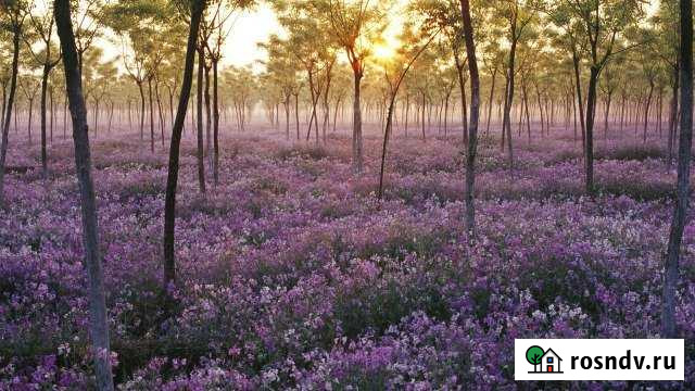 Участок ИЖС 10 сот. на продажу в Старой Руссе Старая Русса - изображение 1