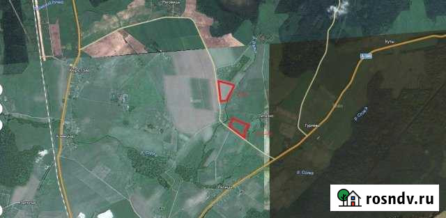 Участок СНТ, ДНП 3142 сот. на продажу в Кингисеппе Кингисепп - изображение 1