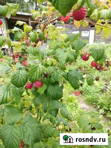 Дача 20 м² на участке 5 сот. на продажу в Нижнем Тагиле Нижний Тагил - изображение 1