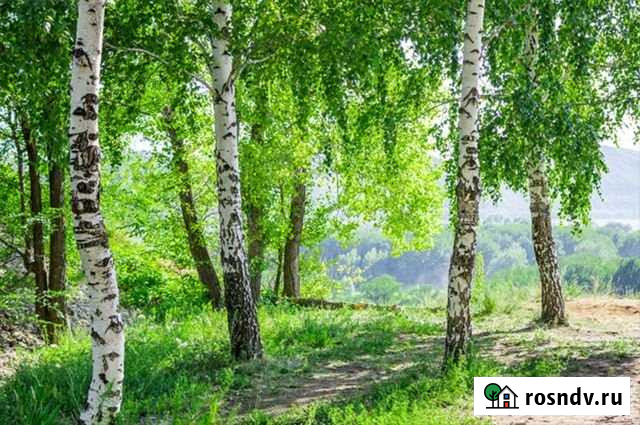 Участок ИЖС 10 сот. на продажу в Видном Видное - изображение 1