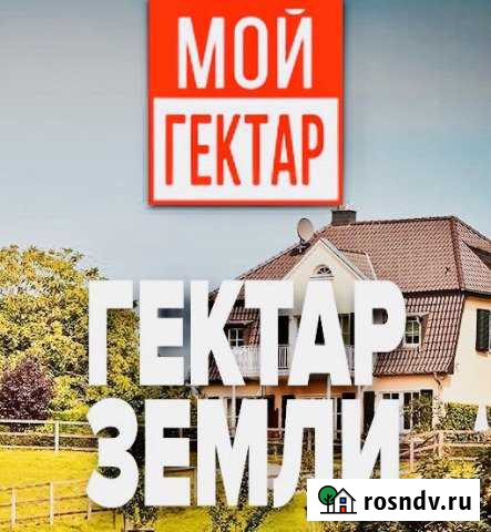 Участок СНТ, ДНП 100 сот. на продажу в Гурьевске Калининградской области Гурьевск - изображение 1