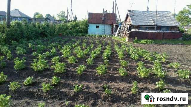 Дом 20 м² на участке 6 сот. на продажу в Черепаново Черепаново - изображение 1