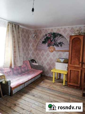 Дача 48 м² на участке 19 сот. на продажу в Елизово Елизово - изображение 1