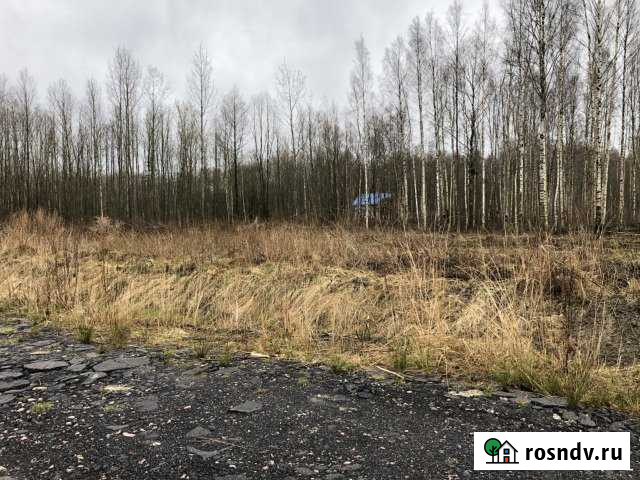 Участок СНТ, ДНП 12 сот. на продажу в Приладожском Приладожский - изображение 1