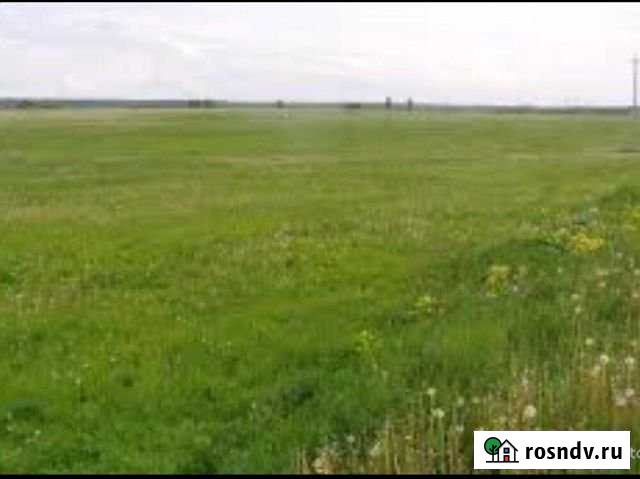 Участок СНТ, ДНП 500 сот. в аренду в Приладожском Приладожский - изображение 1