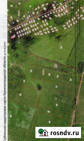 Участок СНТ, ДНП 550 сот. на продажу в Зеленоградске Зеленоградск - изображение 1