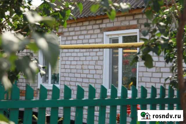 Дом 100 м² на участке 6 сот. на продажу в Борском Борское - изображение 1