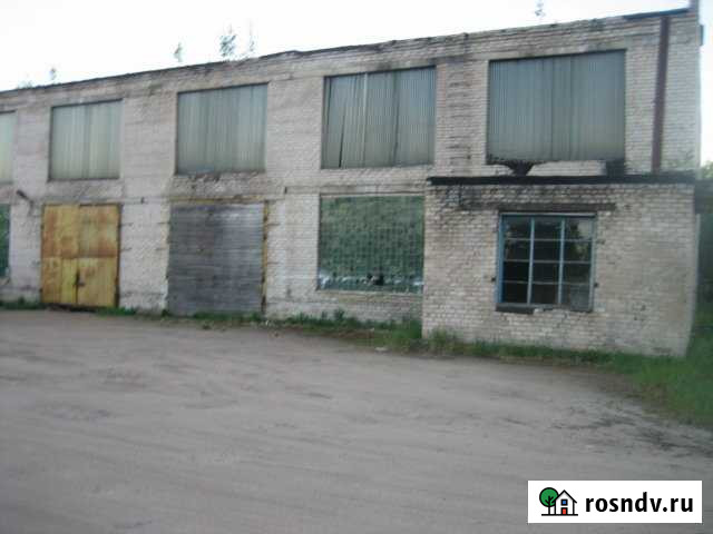 Производственное помещение, 1800 кв.м. Струги Красные - изображение 1