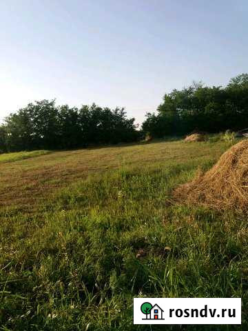 Участок СНТ, ДНП 15 сот. на продажу в Казанской Краснодарского края Казанская - изображение 1