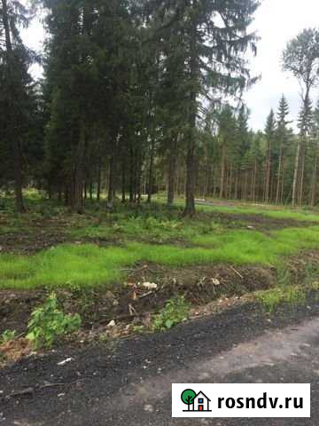 Участок ИЖС 10 сот. на продажу в Некрасовском Московской области Некрасовский - изображение 1