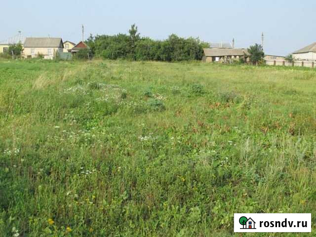 Участок ИЖС 24 сот. на продажу в Репьевке Репьевка - изображение 1