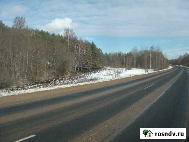 Участок СНТ, ДНП 1650 сот. на продажу в Себеже Себеж - изображение 1