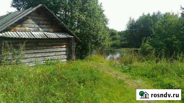 Дом 40 м² на участке 20 сот. на продажу в Хвойной Хвойная - изображение 1