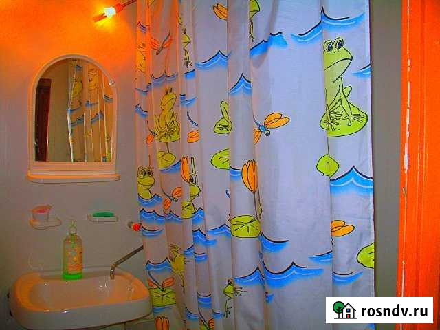 1-комнатная квартира, 44 м², 6/17 эт. в аренду посуточно в Королеве Королев - изображение 1