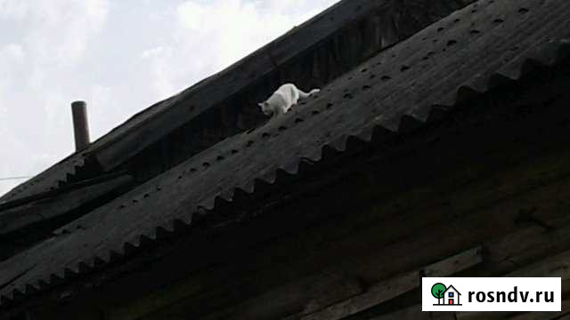 Дом 41 м² на участке 50 сот. на продажу в Ржеве Ржев - изображение 1