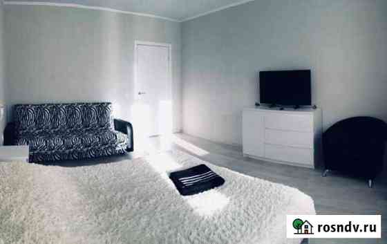 1-комнатная квартира, 42 м², 10/17 эт. в аренду посуточно в Ногинске Ногинск