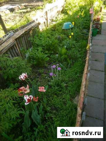 Дом 71 м² на участке 14 сот. на продажу в Рябово Рябово - изображение 1