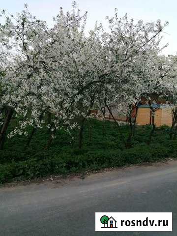 Участок ИЖС 6 сот. на продажу в Лыткарино Лыткарино - изображение 1