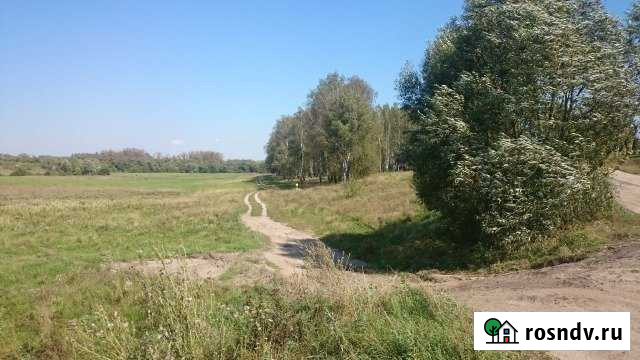 Участок ИЖС 25 сот. на продажу в Нарышкино Нарышкино - изображение 1