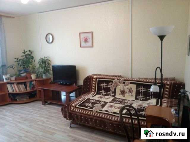 1-комнатная квартира, 33 м², 2/3 эт. на продажу в Выльгорте Выльгорт - изображение 1