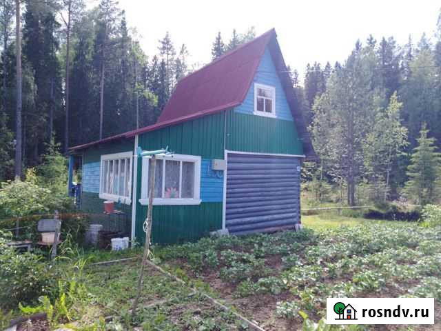 Участок СНТ, ДНП 15 сот. на продажу в Петрозаводске Петрозаводск - изображение 1