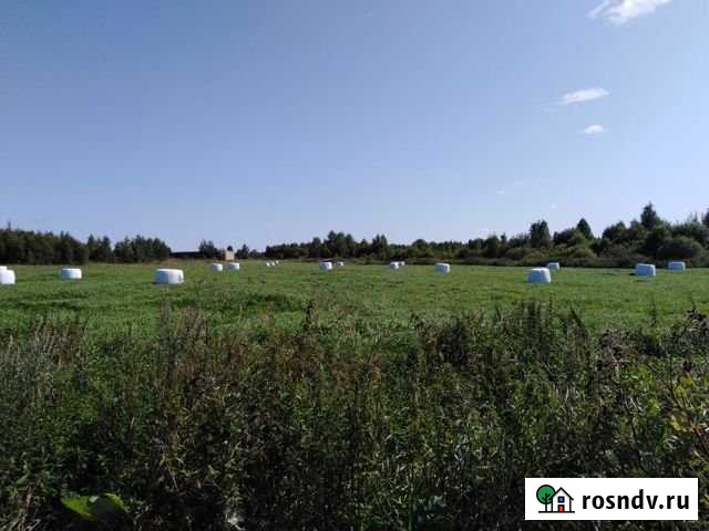 Участок ИЖС 10 сот. на продажу в Некрасовском Ярославской области Некрасовское - изображение 1