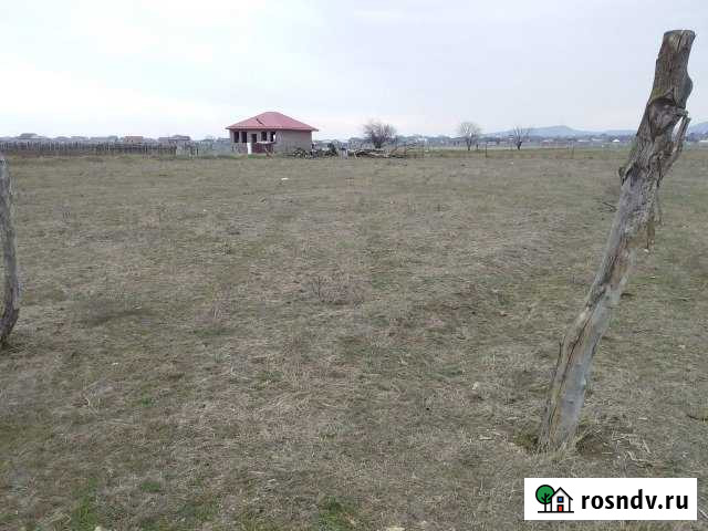 Участок СНТ, ДНП 30 сот. на продажу в Кизилюрте Кизилюрт - изображение 1