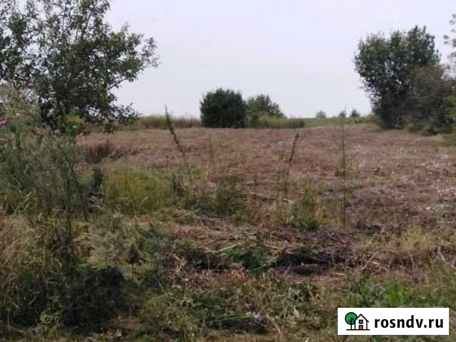 Участок ИЖС 20 сот. на продажу в Губкине Губкин - изображение 1