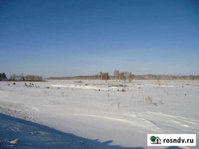 Участок СНТ, ДНП 1650000 сот. на продажу в Таврическом Таврическое - изображение 1