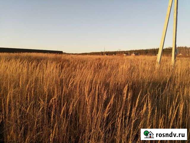 Участок ИЖС 20 сот. на продажу в Балахне Балахна - изображение 1