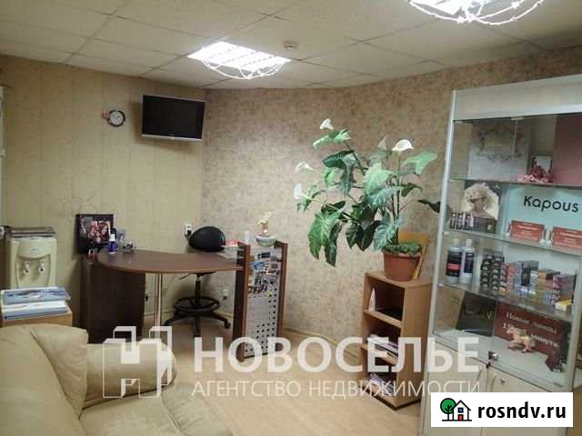 Помещение под спа центр в Д-Песочне Рязань - изображение 1