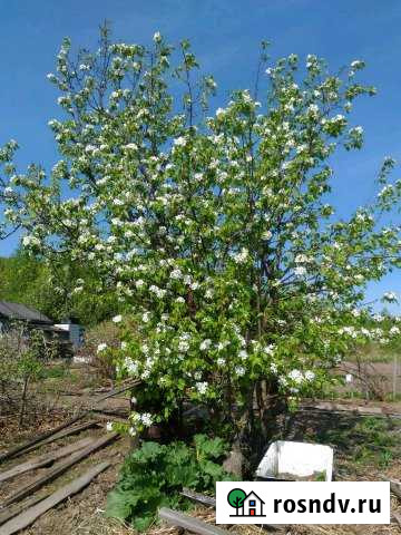 Дача 20 м² на участке 11 сот. на продажу в Комсомольске-на-Амуре Комсомольск-на-Амуре - изображение 1