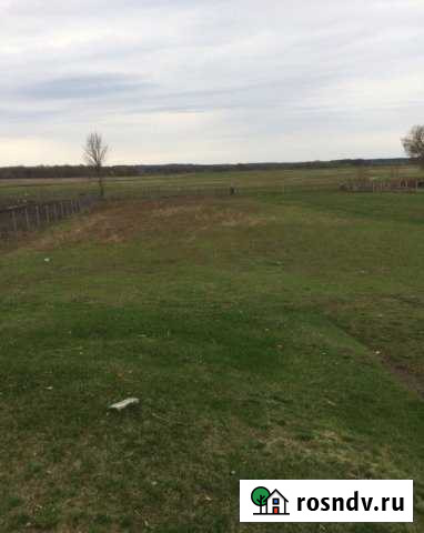 Участок ИЖС 22 сот. на продажу в Прямицыно Прямицыно - изображение 1