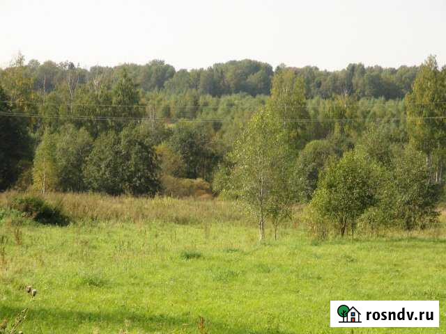 Участок СНТ, ДНП 4500 сот. на продажу в Шаховской Шаховская - изображение 1