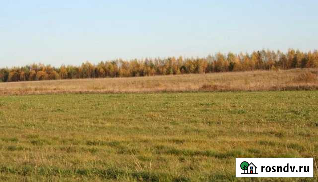 Участок СНТ, ДНП 10000 сот. в аренду в Тихвине Тихвин - изображение 1