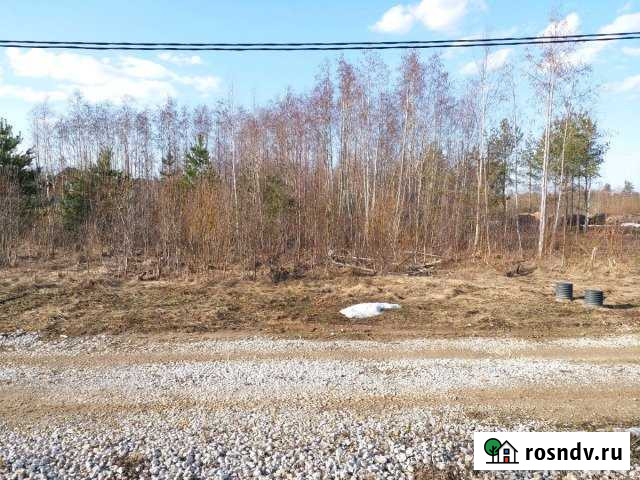 Участок СНТ, ДНП 12 сот. на продажу в Лебяжьем Ленинградской области Лебяжье - изображение 1