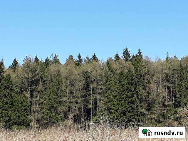 Участок ИЖС 8 сот. на продажу в Заокском Заокский - изображение 1