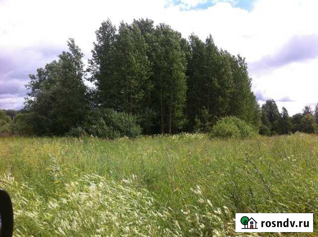 Участок ИЖС 40 сот. на продажу в Волоколамске Волоколамск - изображение 1